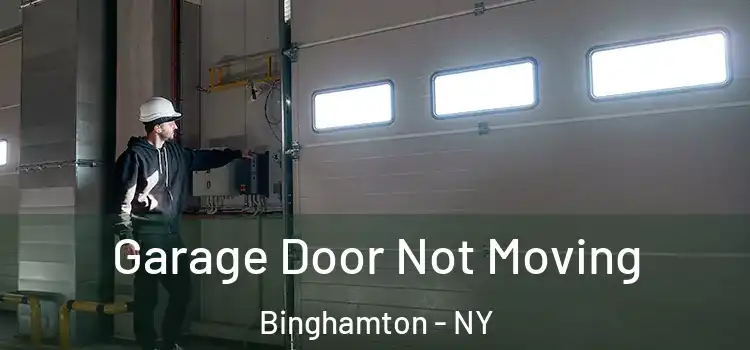  Garage Door Not Moving Binghamton - NY