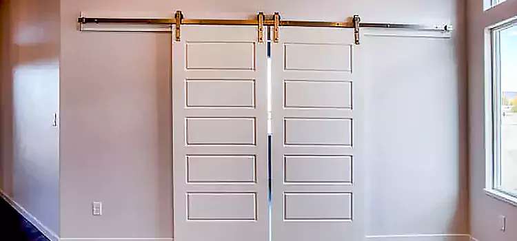 Glass Barn Door with Installation Hardware Kit Binghamton