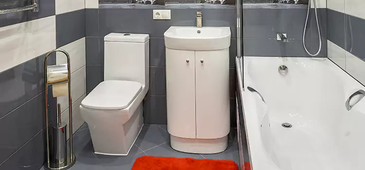 Hansgrohe Shaving Mirror Binghamton