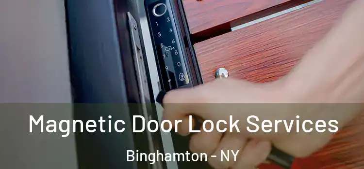 Magnetic Door Lock Services Binghamton - NY