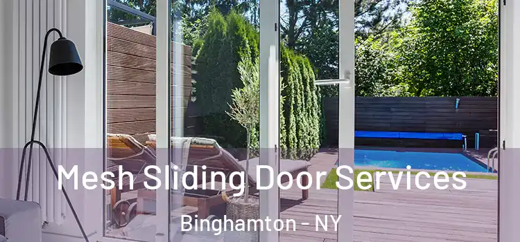 Mesh Sliding Door Services Binghamton - NY